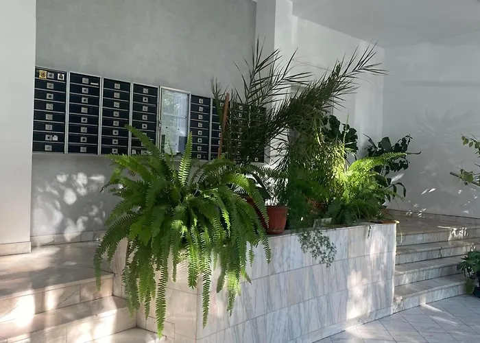 Ely Glow Decebal Piata Alba Iulia Appartement