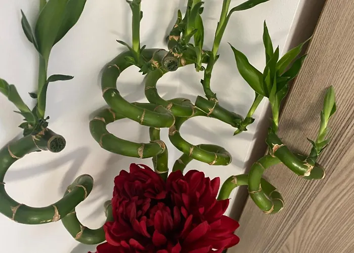 Ely Glow Decebal Piata Alba Iulia Appartement Bucarest