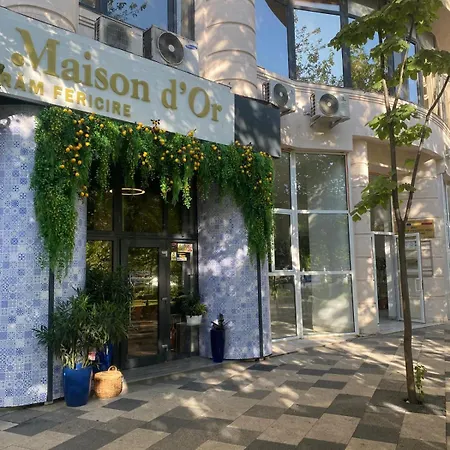 Ely Glow Decebal Piata Alba Iulia *