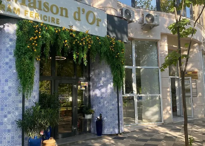 Ely Glow Decebal Piata Alba Iulia *